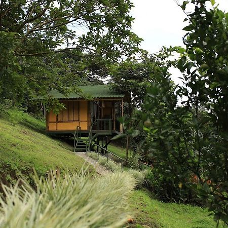 Sonarte Reserva Natural Кордоба Экстерьер фото