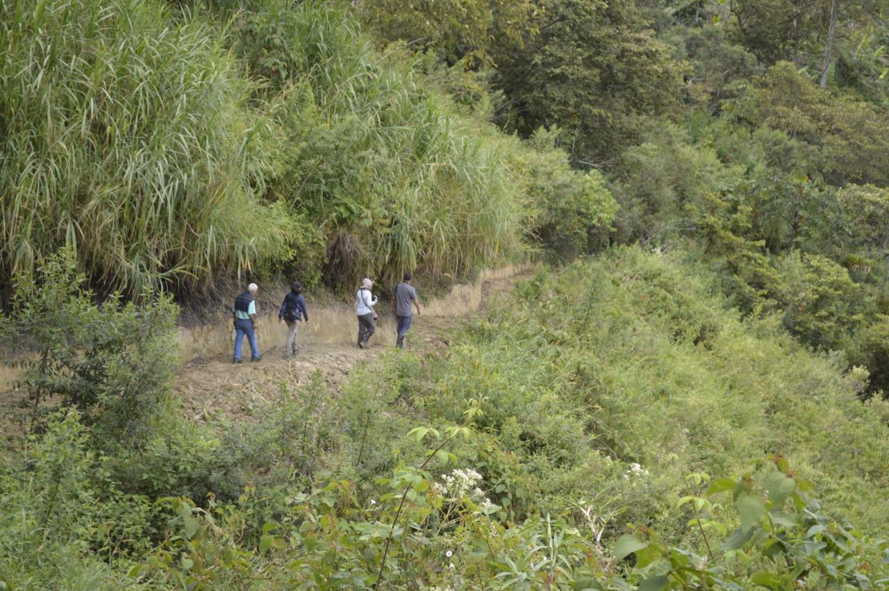 Sonarte Reserva Natural Кордоба Экстерьер фото