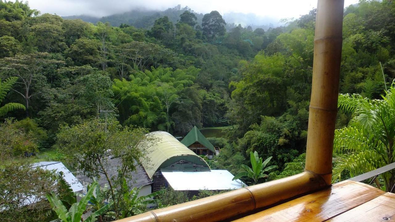 Sonarte Reserva Natural Кордоба Экстерьер фото