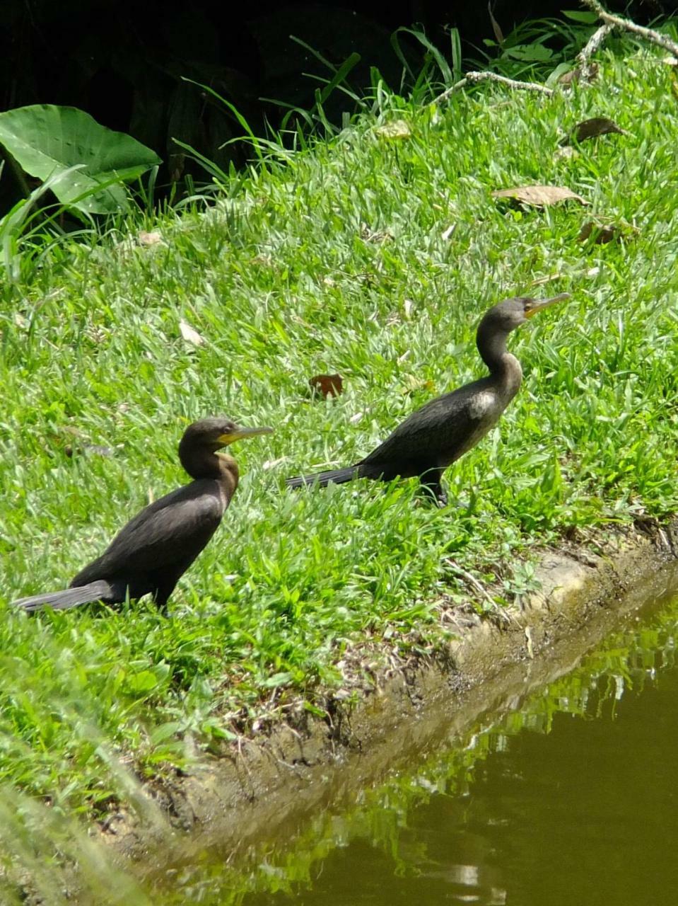 Sonarte Reserva Natural Кордоба Экстерьер фото